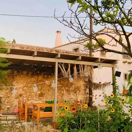 Barbouni Aroniadhiánika